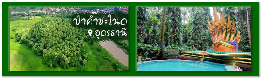 รถเช่าอุดร คำชะโนด เช่ารถตู้อุดรไปคำชะโนด